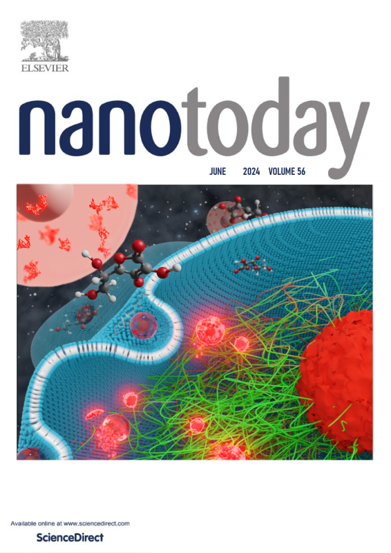 cover-3